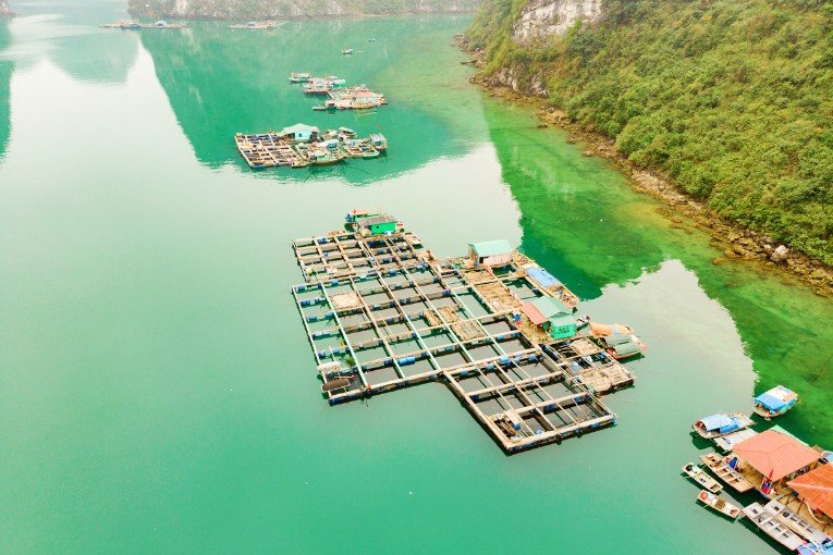 Cua Van Floating Village