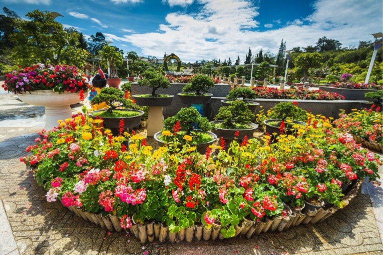 Dalat Flower Gardens