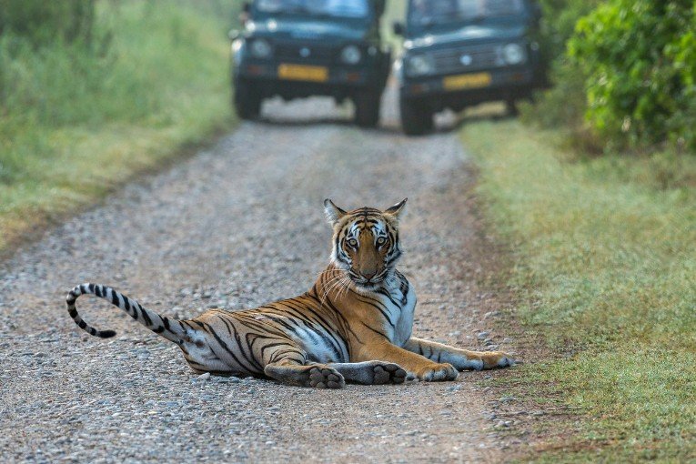 Jim Corbett National Park