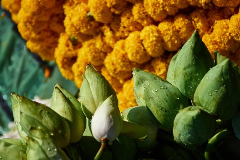 Mallick Ghat Flower Market