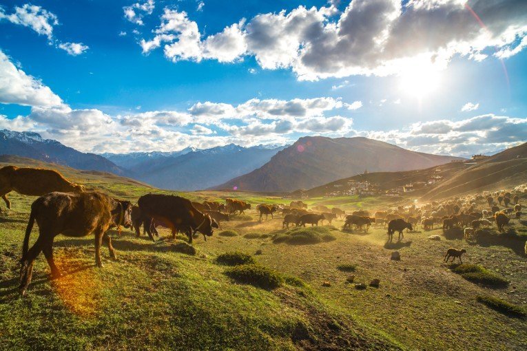 Spiti Valley