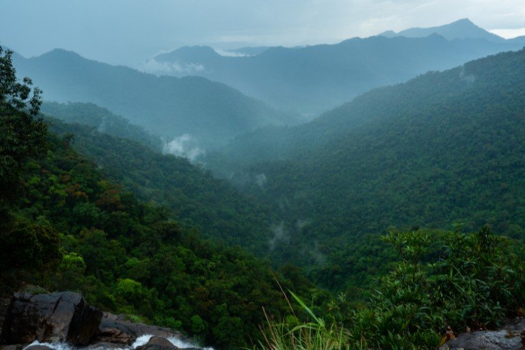 Bach Ma National Park