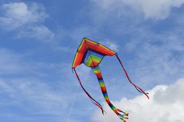 International Kite Festival – The Sky Spectacle of Gujarat