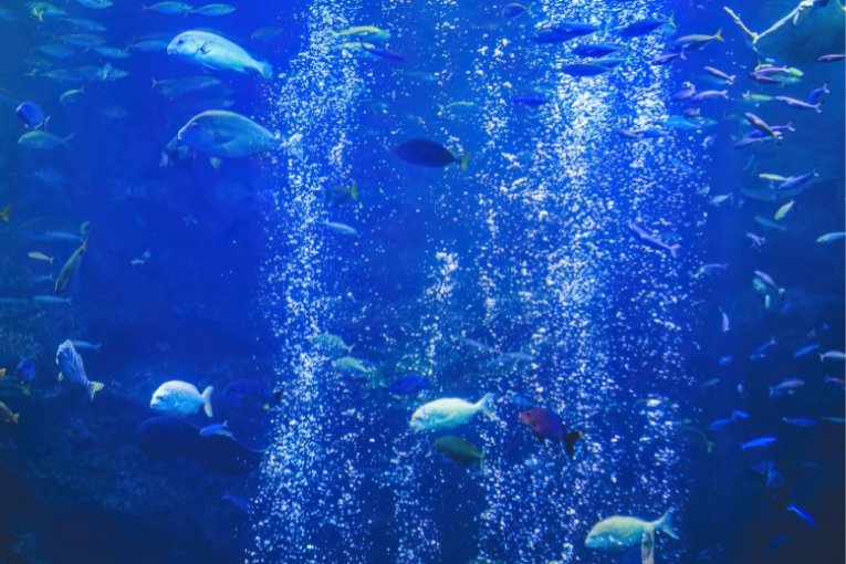 Kyoto Aquarium