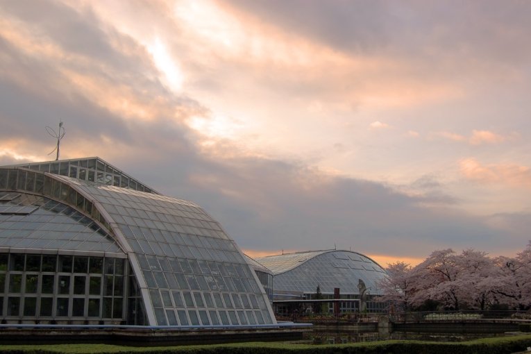 Kyoto Botanical Gardens