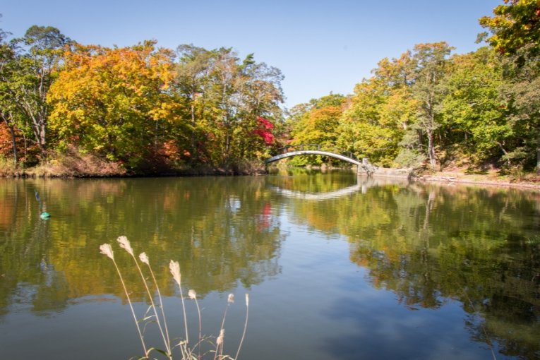 Lake Onuma