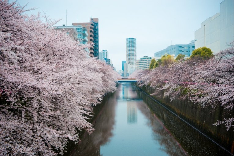 Meguro River