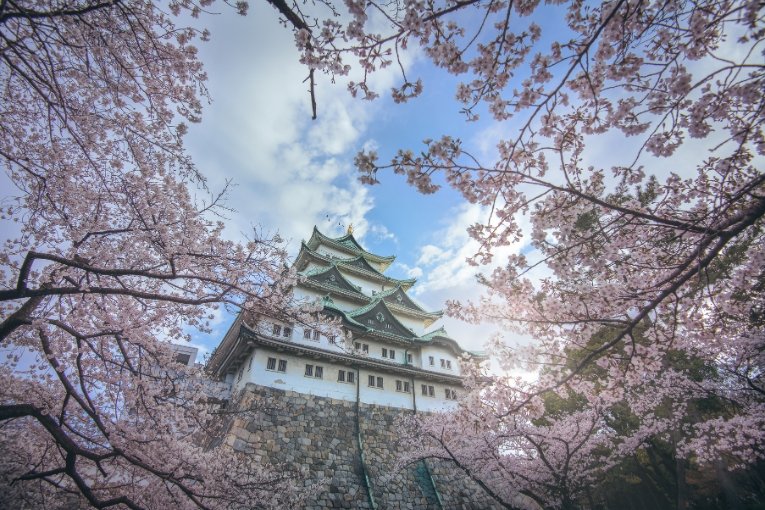 Nagoya Castle