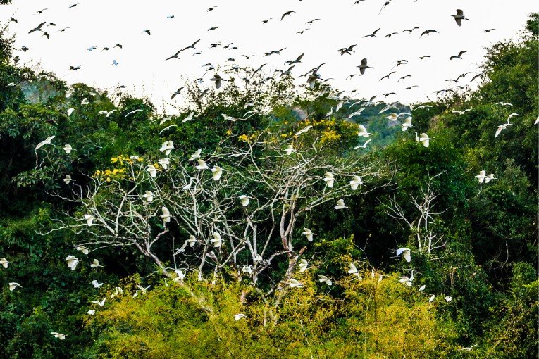 Thung Nham Bird Garden