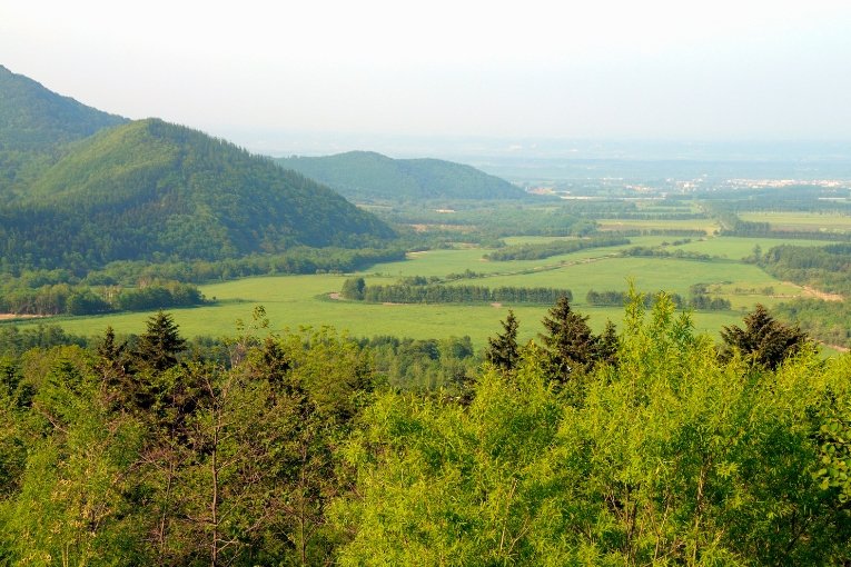 Tokachi Millennium Forest