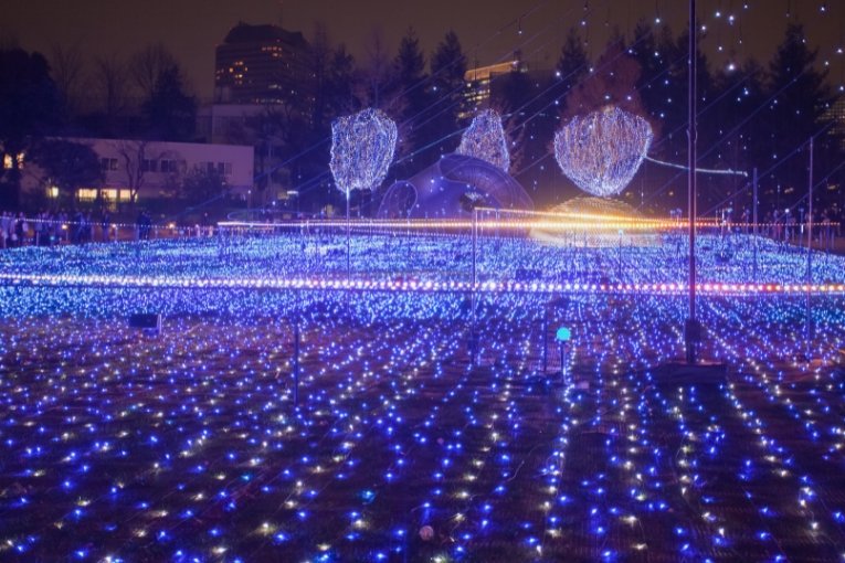 Tokyo's Winter Illuminations