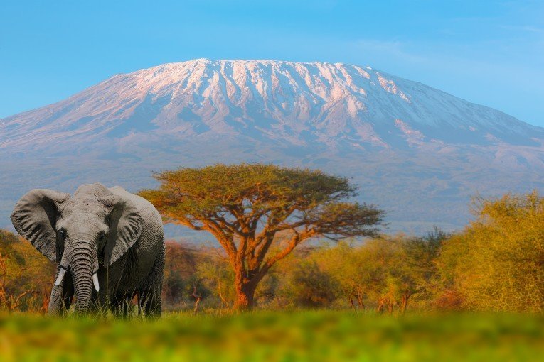 Africa's Top Tourist Attractions in 2024