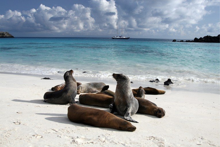 Galapagos Islands, Ecuador