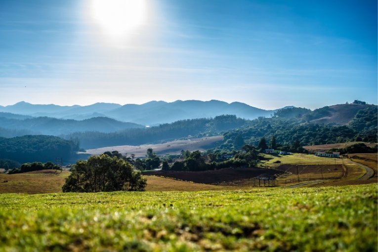 Ooty, Tamil Nadu