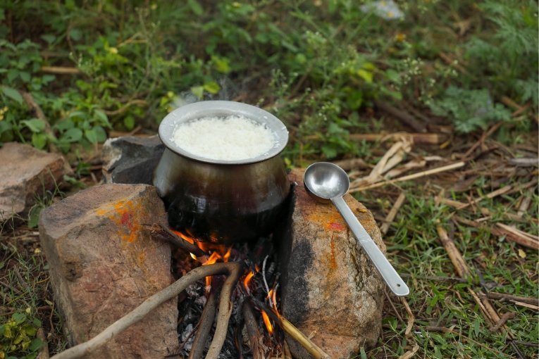 Pongal – The Harvest Festival of Tamil Nadu