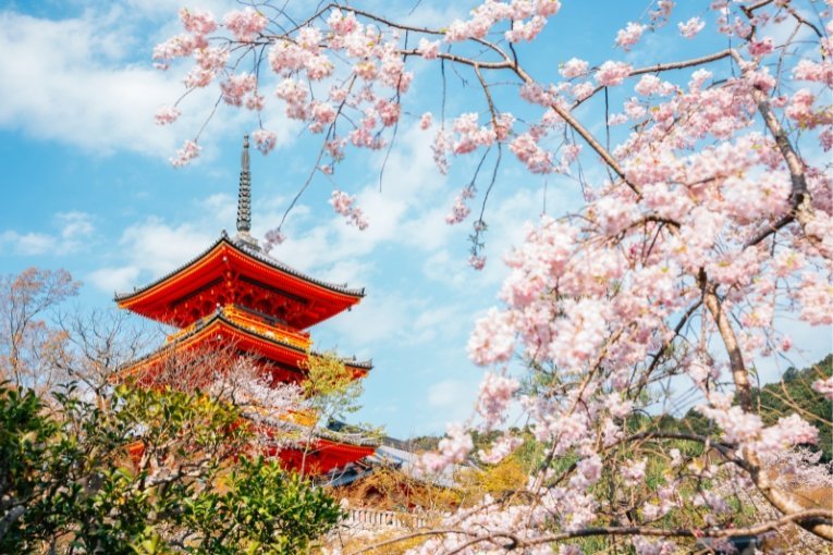 Tourist Attractions in Kyoto