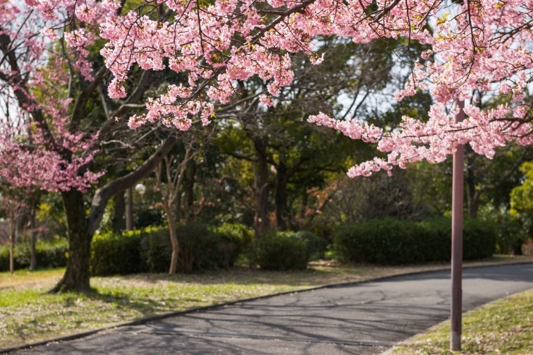 Tsurumi-Ryokuchi Park