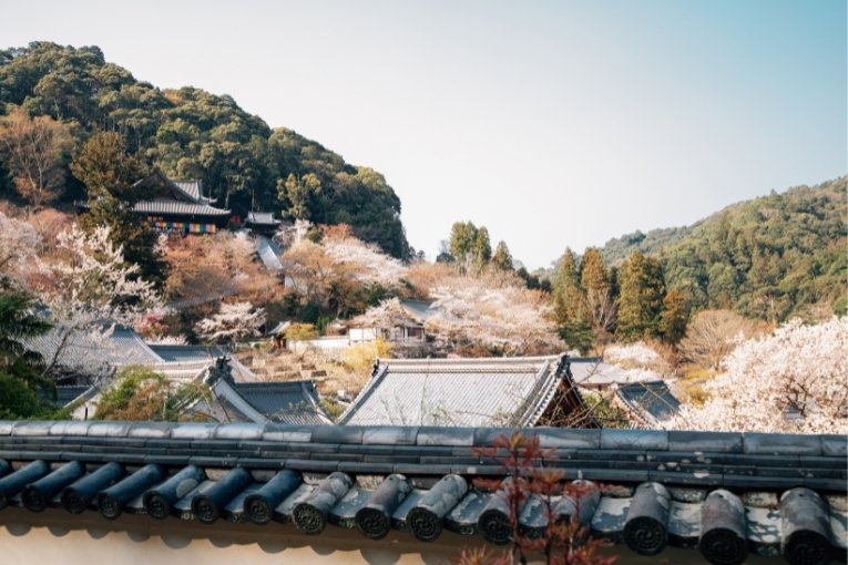 Hasedera Temple