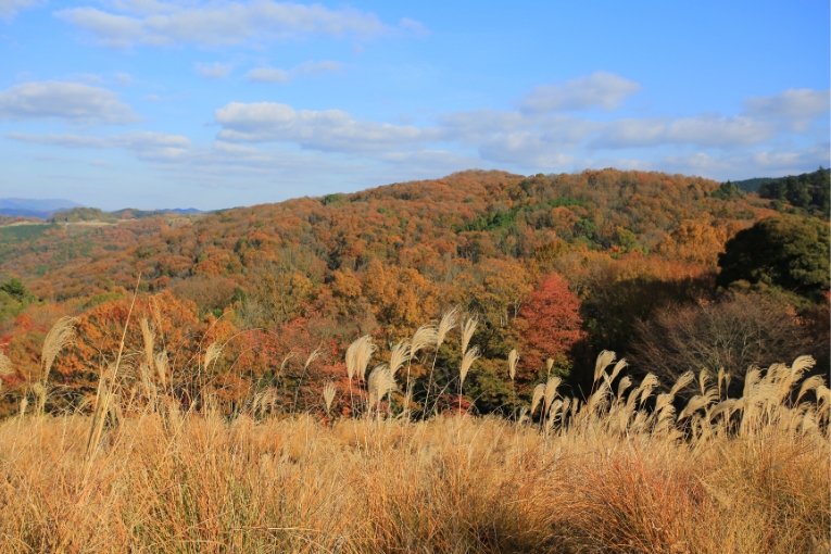 Mount Wakakusayama