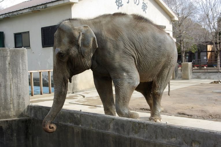 Himeji City Zoo