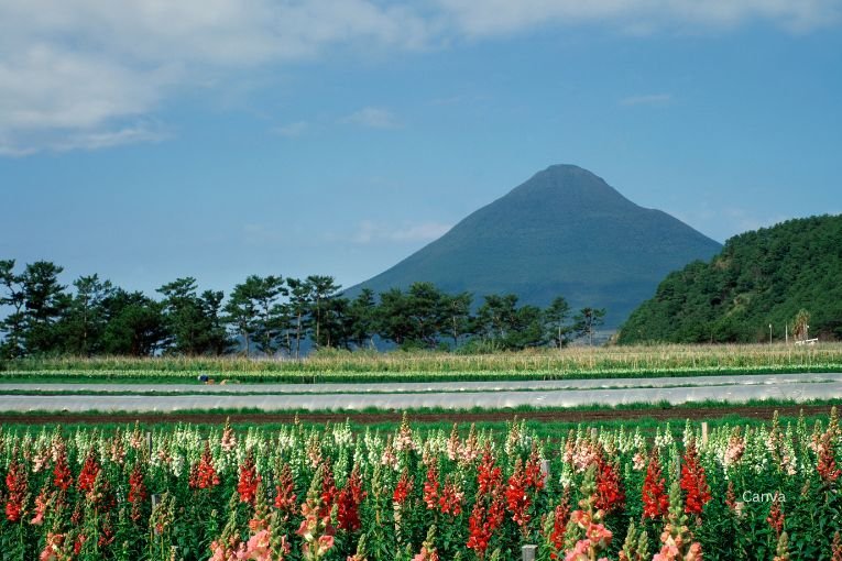 Mt. Kaimon