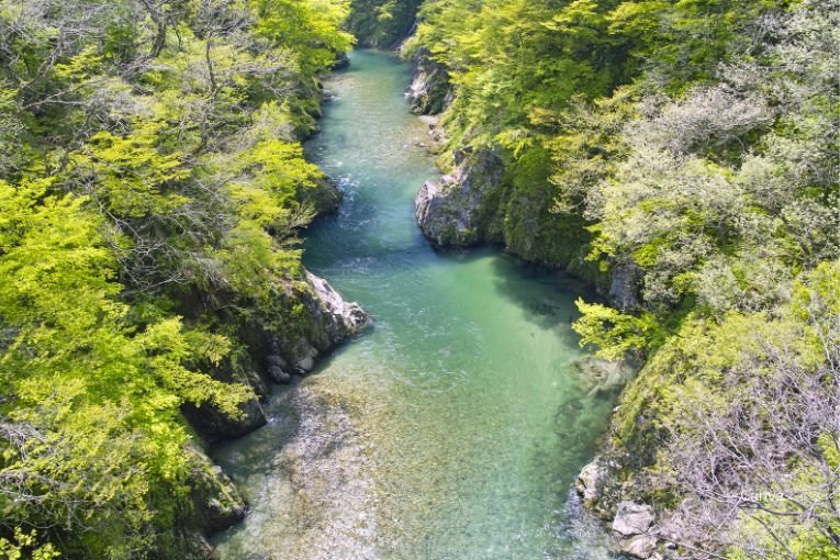 Tama River (Tamagawa)