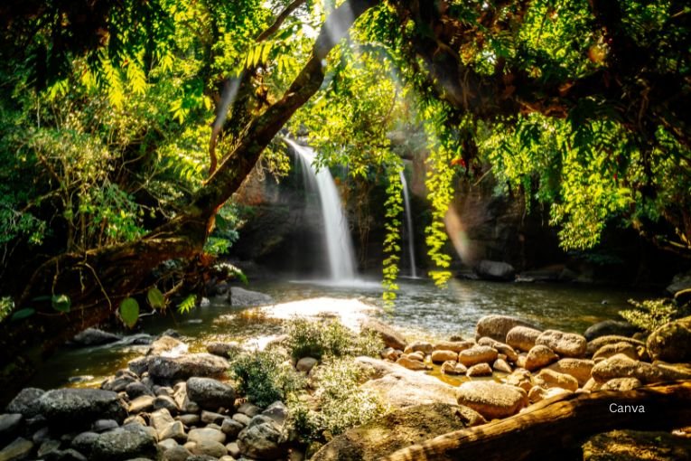 Khao Yai National Park, Thailand